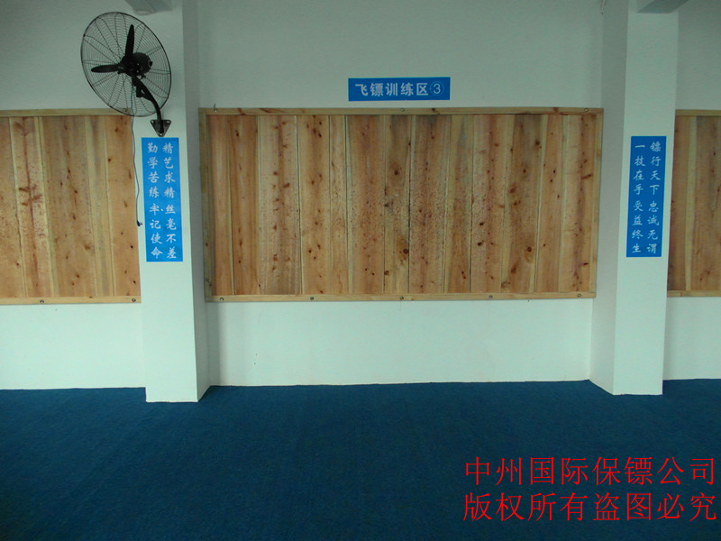中州 國際保鏢公司 飛刀、飛鏢訓練區